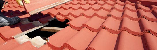 compare Ivy Todd roof repair quotes