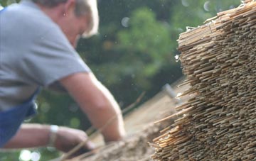 professional Ivy Todd thatchers