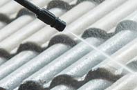 rated Ivy Todd roof cleaning companies